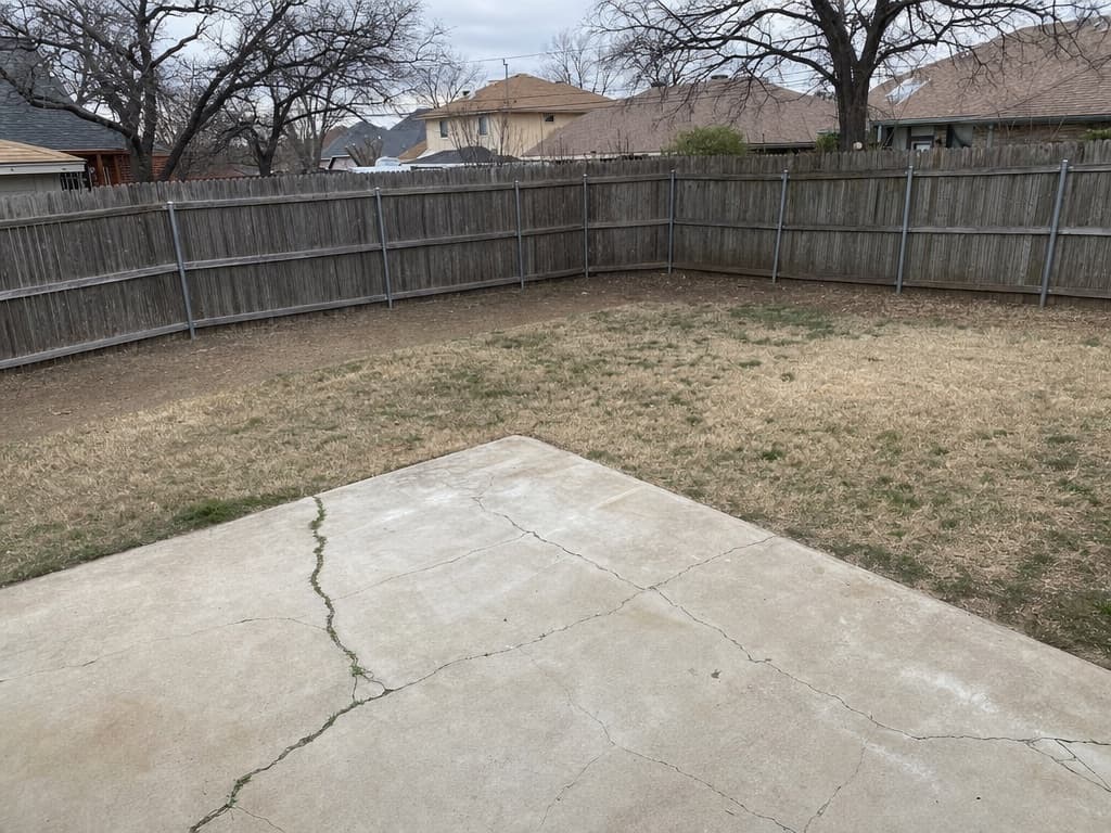 Backyard before: patchy dirt lawn and a cracked concrete slab