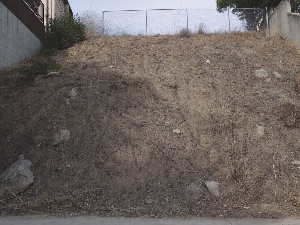 Yard before: steep raw dirt slope with scattered rocks